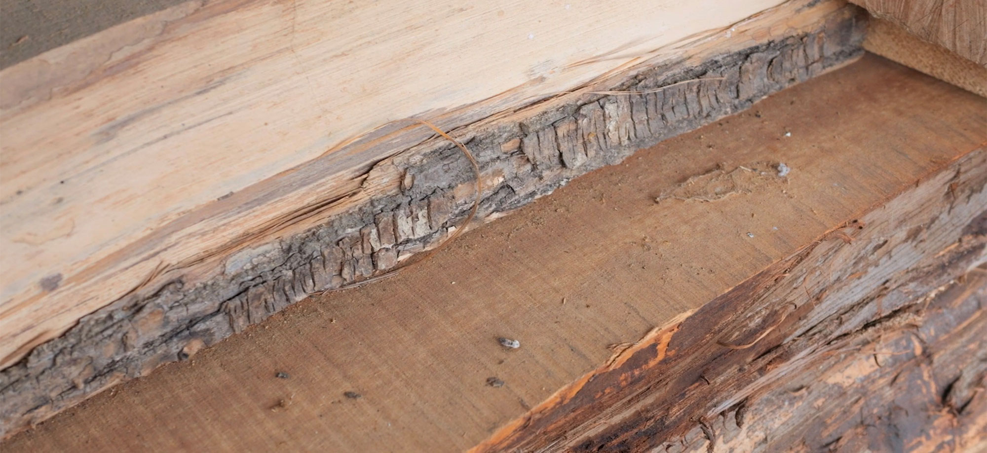 lagno-km0 Legno a Km0 significa rispetto per il territorio, per la tradizione artigiana, per una materia viva. Scopri la nostro filosofia legata al legno. Bressano Mobili