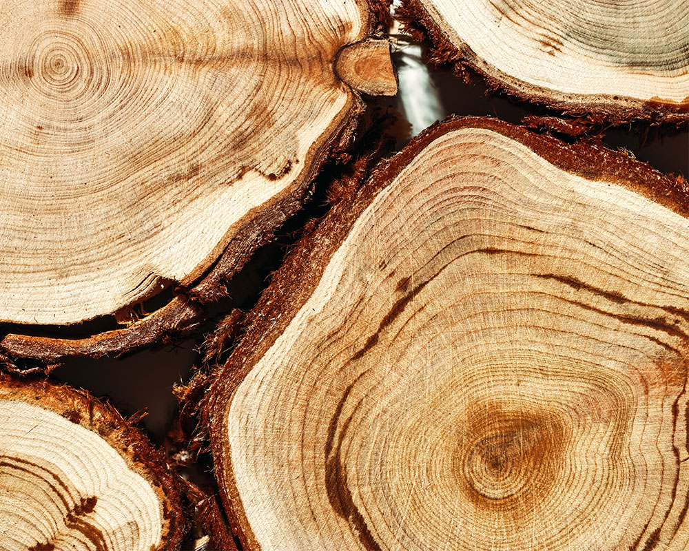 legno-feng-shui Secondo il Feng Shui, antica filosofia orientale, il benessere passa anche dalla creazione di ambienti armonici. Scopri di più.