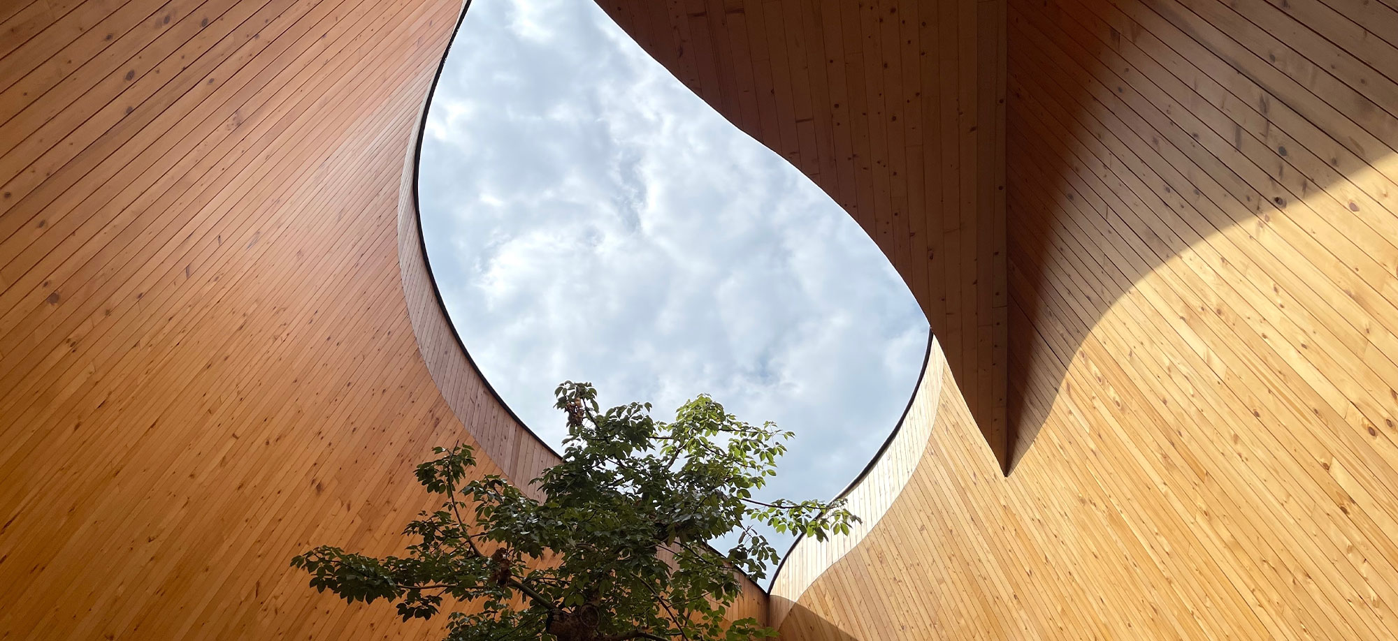 Perché il legno è un materiale green? Scopri tutto quello che c'è da sapere sul riciclo del legno, per un approccio sostenibile, con Bressano Mobili.