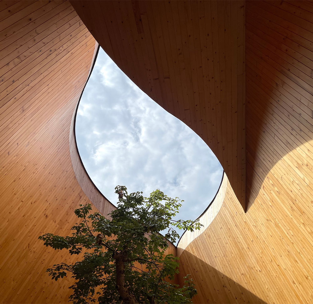 Perché il legno è un materiale green? Scopri tutto quello che c'è da sapere sul riciclo del legno, per un approccio sostenibile, con Bressano Mobili.