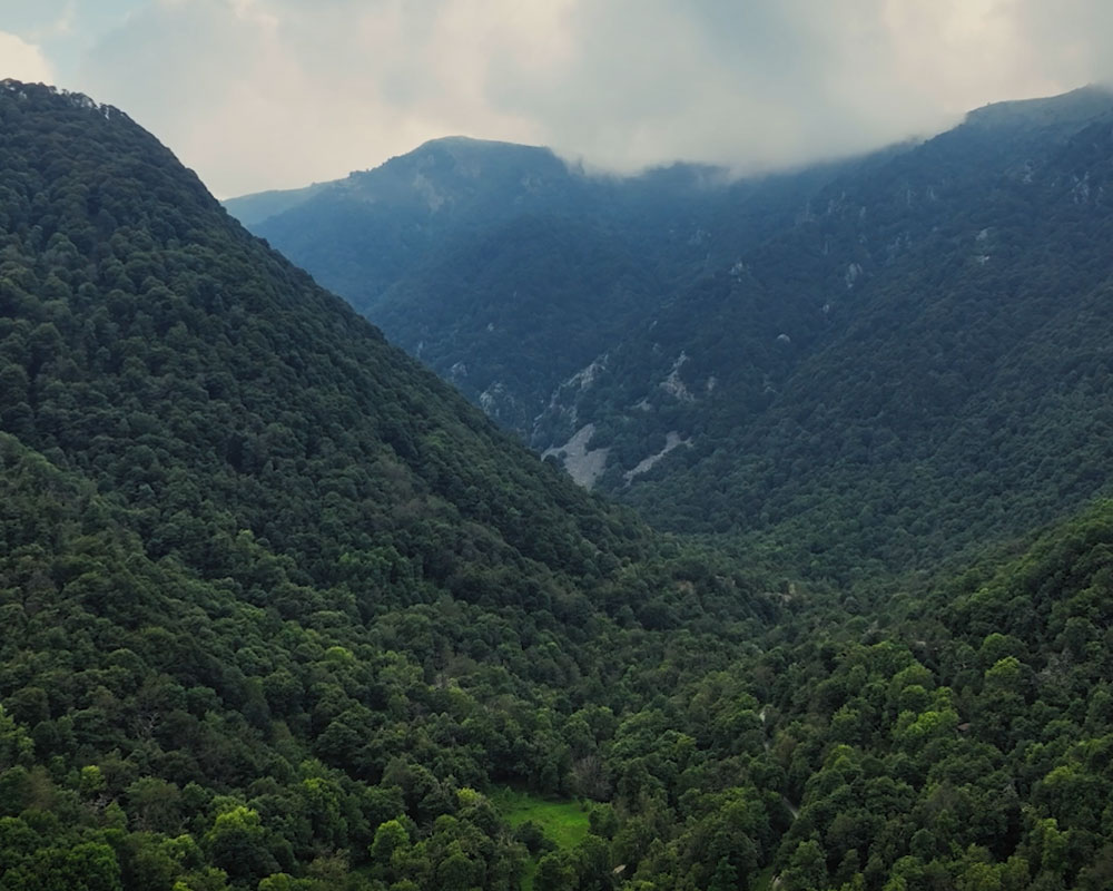 valle-ellero Legno a Km0 significa rispetto per il territorio, per la tradizione artigiana, per una materia viva. Scopri la nostro filosofia legata al legno.