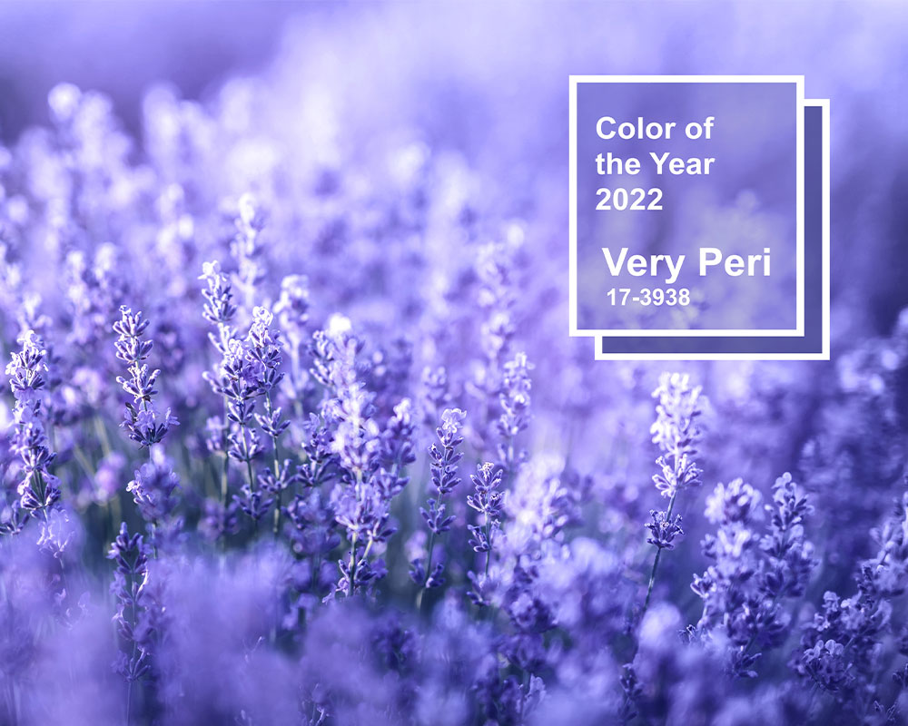 very-peri-pantone La scelta della palette di colori per le pareti di casa ti atterrisce? Ecco alcuni pratici consigli per effettuare una scelta vincente. Scopri di più.